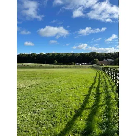 Swallow בית נופש *