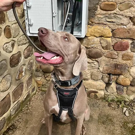 Swallow Holiday home